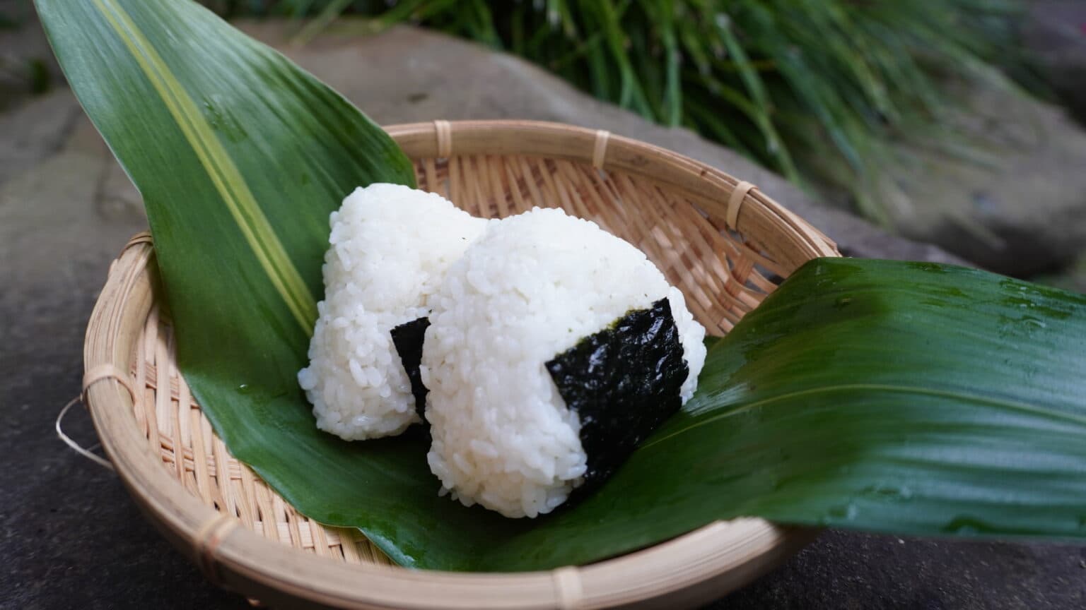 スライド画像